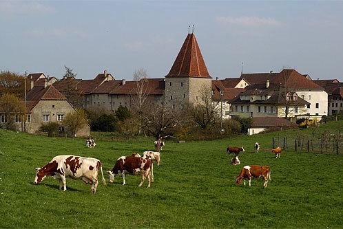 Wiedlisbach Castle