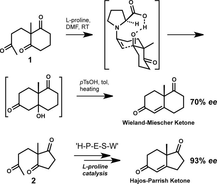 Wieland–Miescher ketone modern steroid science February 2012