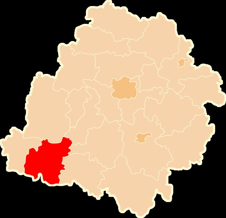 Wieluń County