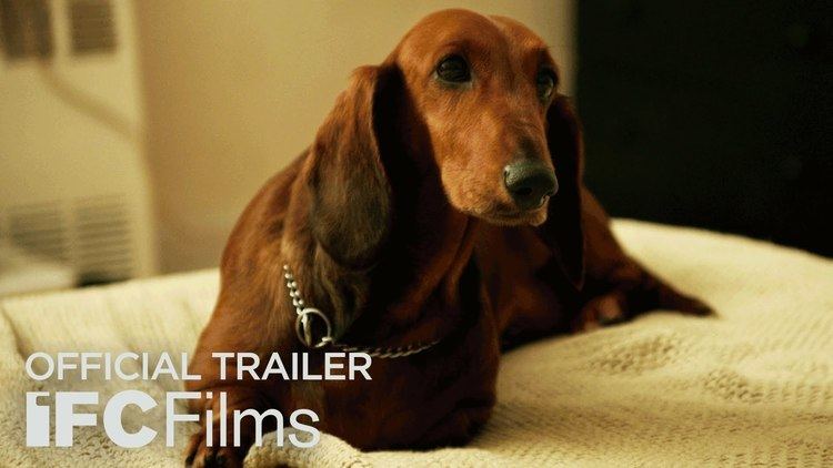 WienerDog Official Trailer I HD I IFC Films YouTube