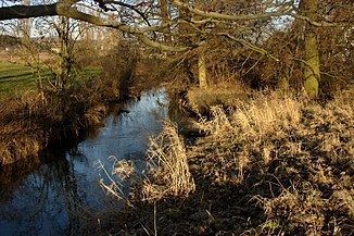 Wieseck (river) httpsuploadwikimediaorgwikipediacommonsthu