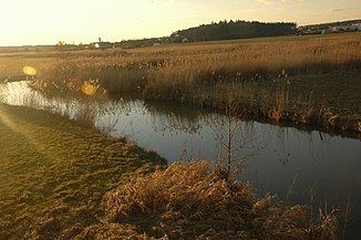 Wieseth (river) httpsuploadwikimediaorgwikipediadethumb5