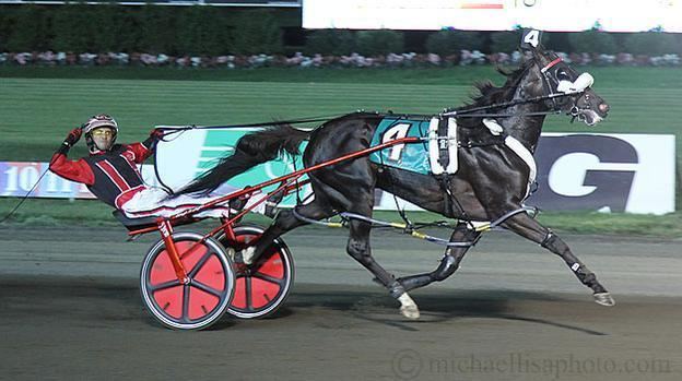 Wiggle It Jiggleit There39s No Wiggle Room to This Debate He39s the Best Harness