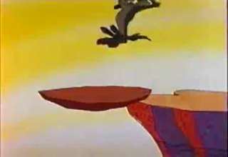 Road Runner n Wile E Coyote Wild About Hurry Video eBaums World