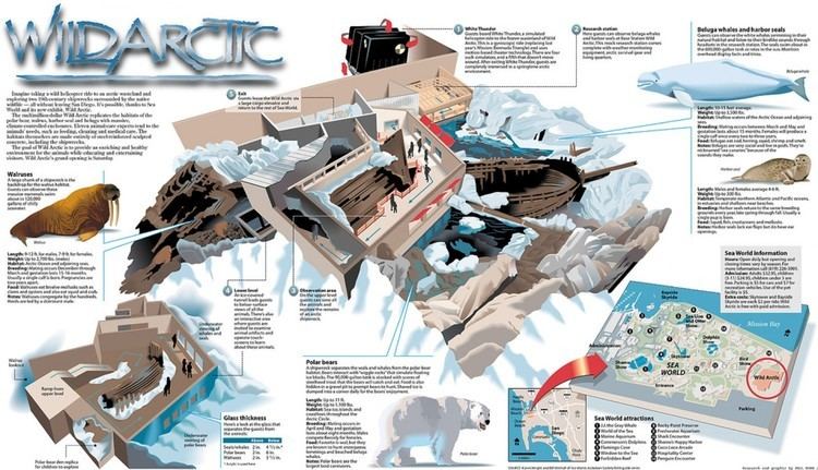 Wild Arctic Wild Artic Visually