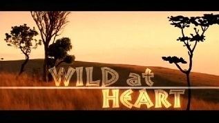 Wild at Heart (TV series) Wild at Heart TV series Wikipedia
