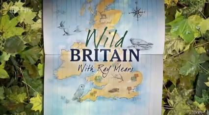 Wild Britain with Ray Mears httpsuploadwikimediaorgwikipediaen991Wil