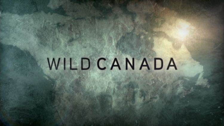 Wild Canada Review The Nature of Things Wild Canada DexterBrownca