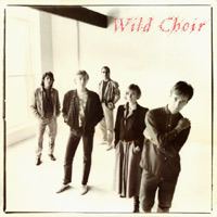 Wild Choir wwwgaildaviescomimagesWildChoirjpg