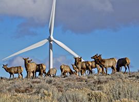 Wild Horse Wind Farm Wild Horse Wind amp Solar Facility