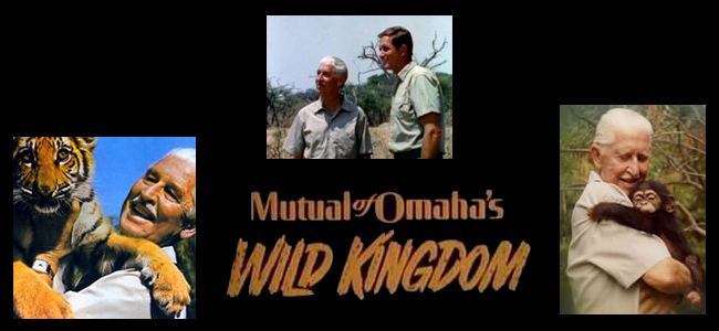 Wild Kingdom Mutual of Omaha39s Wild Kingdom 50 Years of Adventure in the