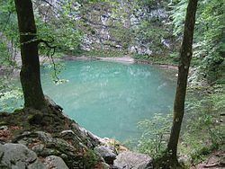 Wild Lake httpsuploadwikimediaorgwikipediacommonsthu