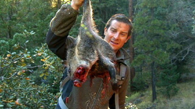 Wild Man British adventurer writer and television presenter BEAR GRYLLS Wild Man British adventurer writer and television presenter BEAR GRYLLS