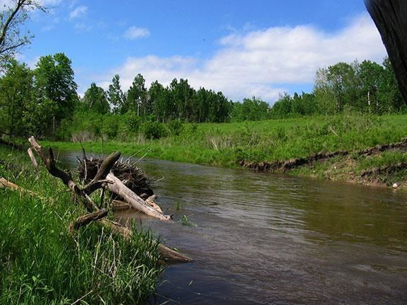 Wild Rice River (Minnesota) httpswwwpcastatemnussitesdefaultfilesst