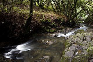 Wildcat Creek (California) httpsuploadwikimediaorgwikipediacommonsthu