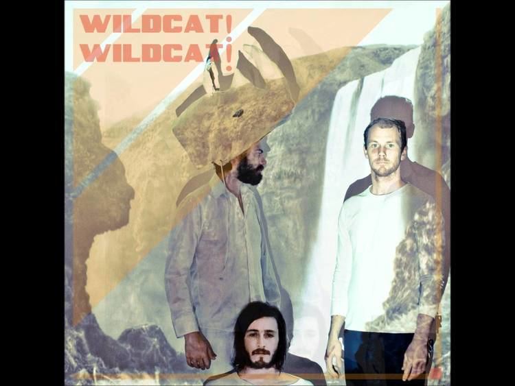 Wildcat! Wildcat! Wildcat Wildcat Mr Quiche YouTube