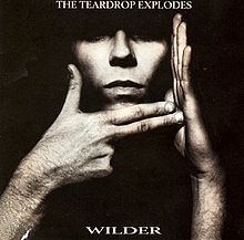 Wilder (album) httpsuploadwikimediaorgwikipediaenthumba