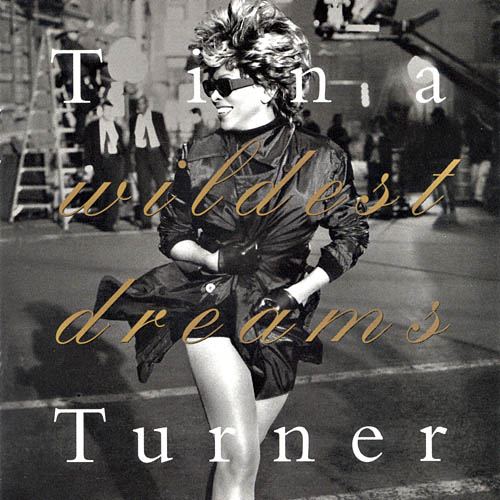 Wildest Dreams Tour International Tina Turner Fan Club Tour Wildest Dream Tour1996