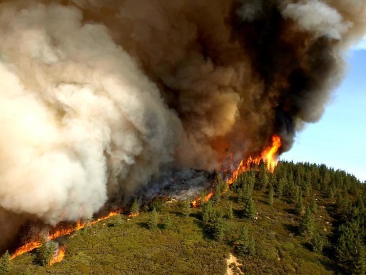 Wildfire emergency management