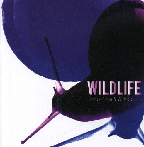 Wildlife (Anthony Phillips and Joji Hirota album) httpsimagesnasslimagesamazoncomimagesI5