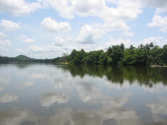 Wildlife of Sierra Leone