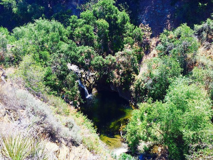 Wildwood Regional Park