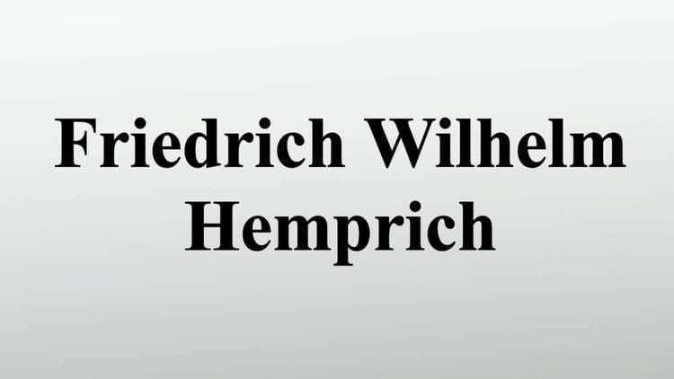 Wilhelm Hemprich Friedrich Wilhelm Hemprich YouTube