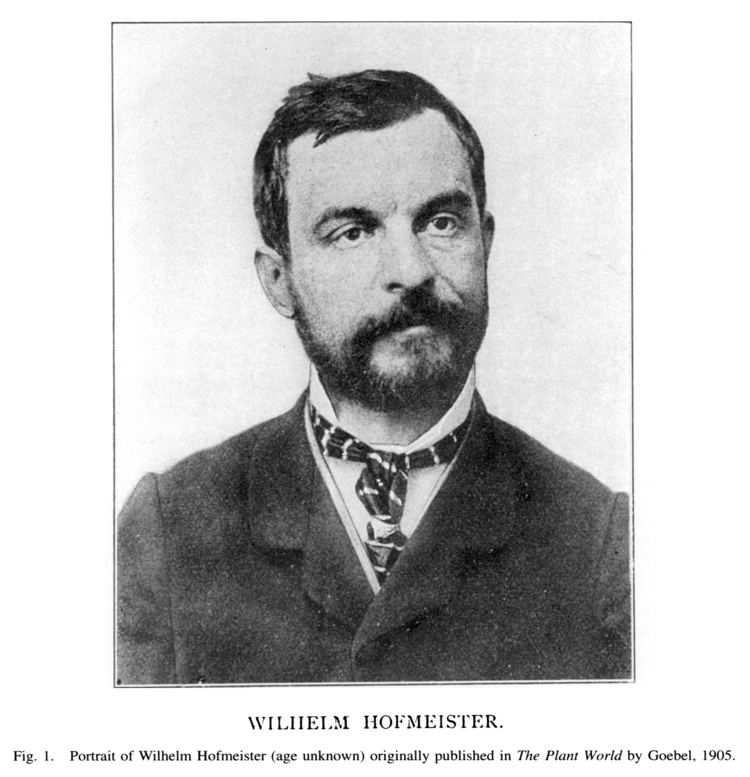 Wilhelm Hofmeister Wilhelm Hofmeister Wikipedia
