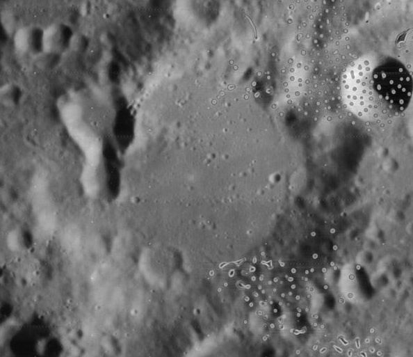 Wilkins (crater)