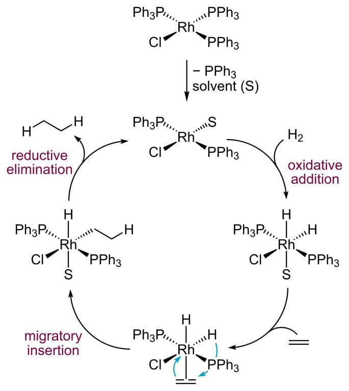 Wilkinson's catalyst FileCatalitic cycle for hydrogenation with Wilkinson39s catalystsvg