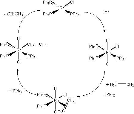 Wilkinson's catalyst CHM 401 Organometallic and MetalCluster Transition Metal Complexes