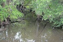 Willacoochee River httpsuploadwikimediaorgwikipediacommonsthu