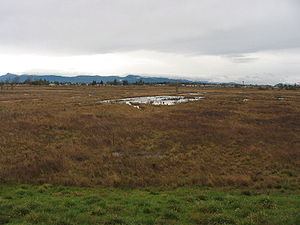 Willamette Valley (ecoregion) httpsuploadwikimediaorgwikipediacommonsthu