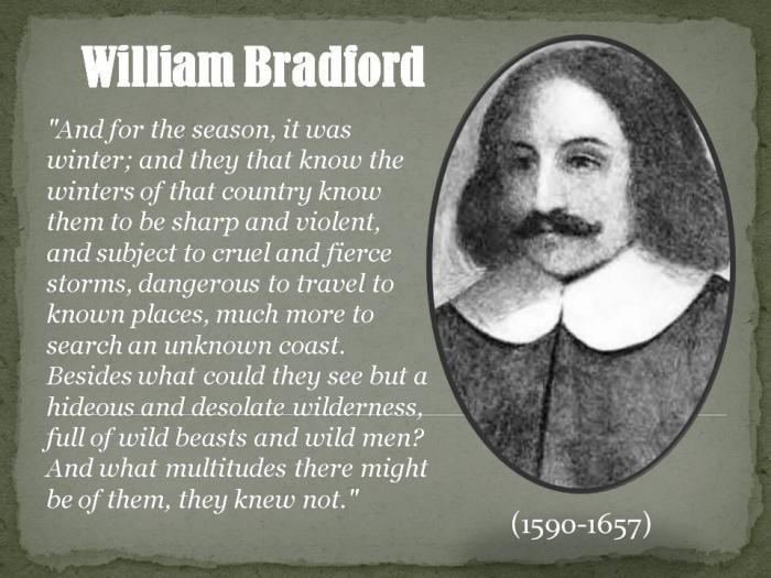 William Bradford (Plymouth Colony governor) William Bradford Poems My poetic side