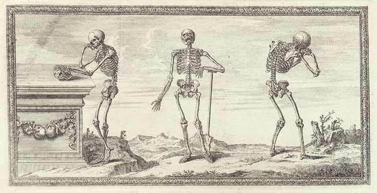 William Cheselden William Cheselden39s Osteographia 1733 The Public