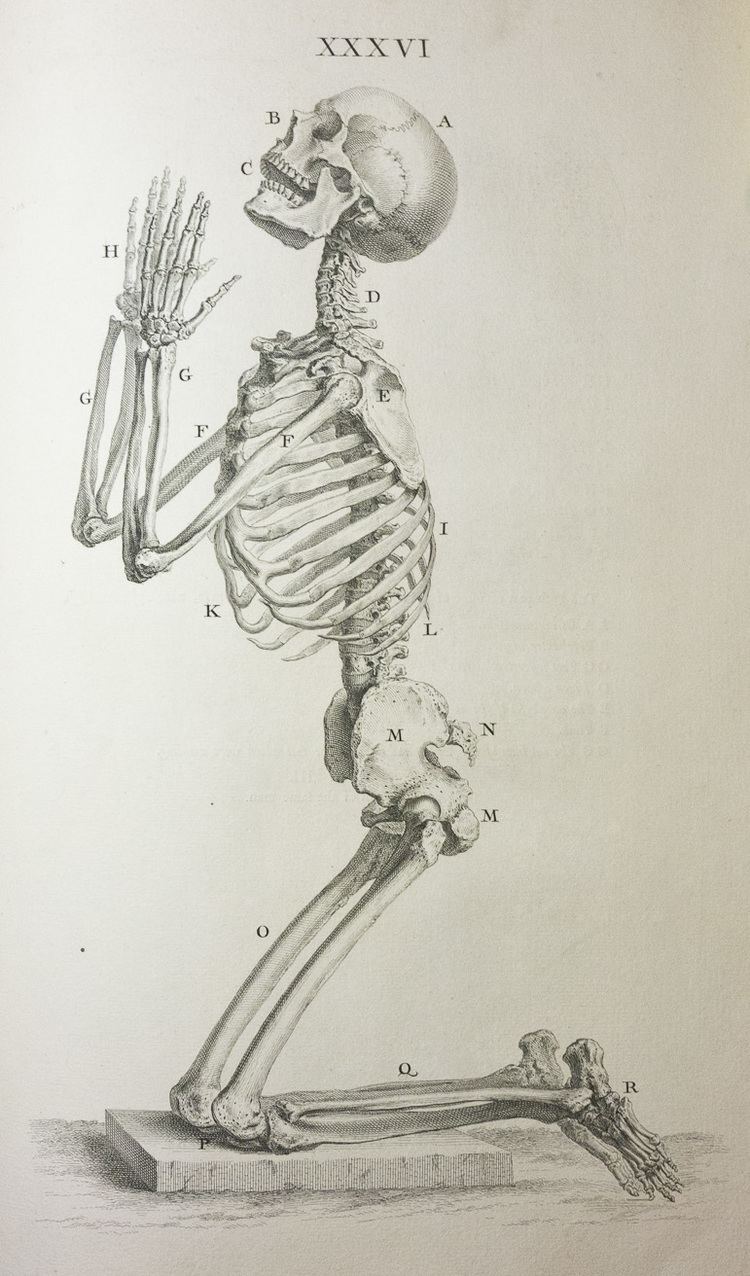 William Cheselden William Cheselden39s Memento Mori and Skeletons at Prayer