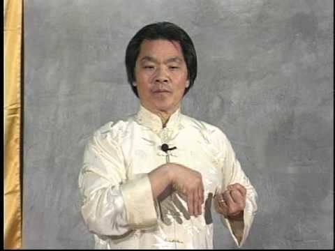 William Cheung TWC Shil Lim Tao form in slow motion Grandmaster William