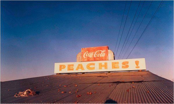 William Eggleston FullColor Images of a Changing South at the Whitney