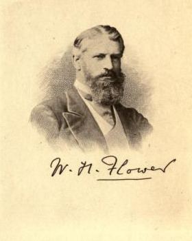 William Henry Flower FileWilliam Henry Flowerpng Wikimedia Commons