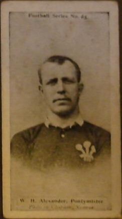 William Henry Williams (rugby player)
