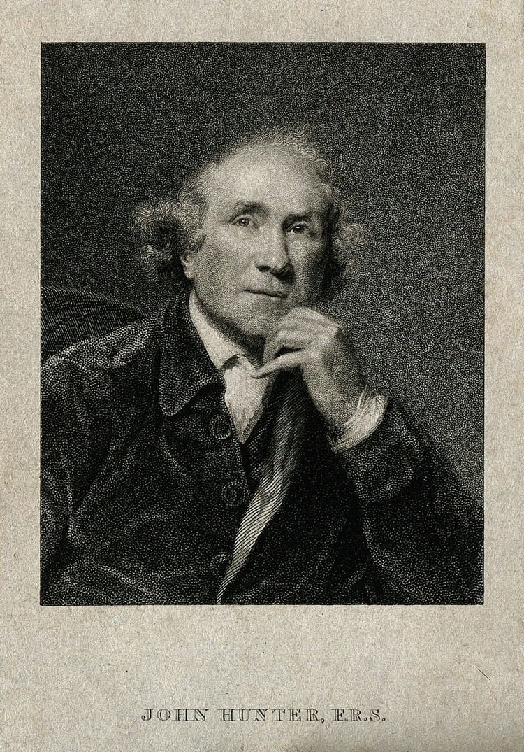 William Home Lizars FileJohn Hunter Line engraving by W H Lizars 1840 after Sir
