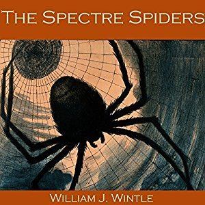 William James Wintle The Spectre Spiders Audiobook William James Wintle Audiblecomau