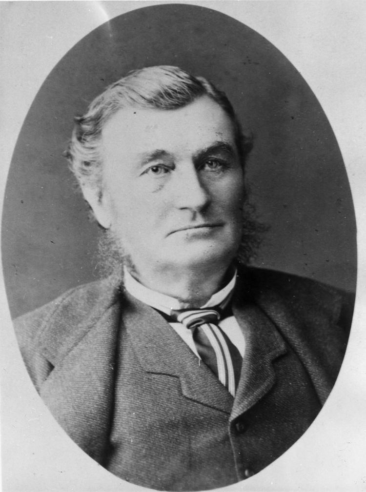 William Robinson (runholder)