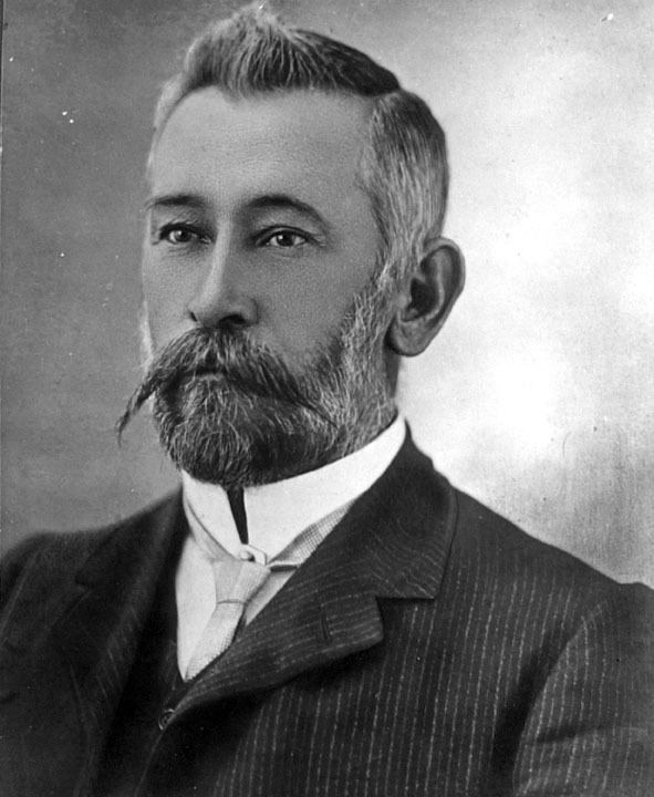 William Stephens (Australian politician)