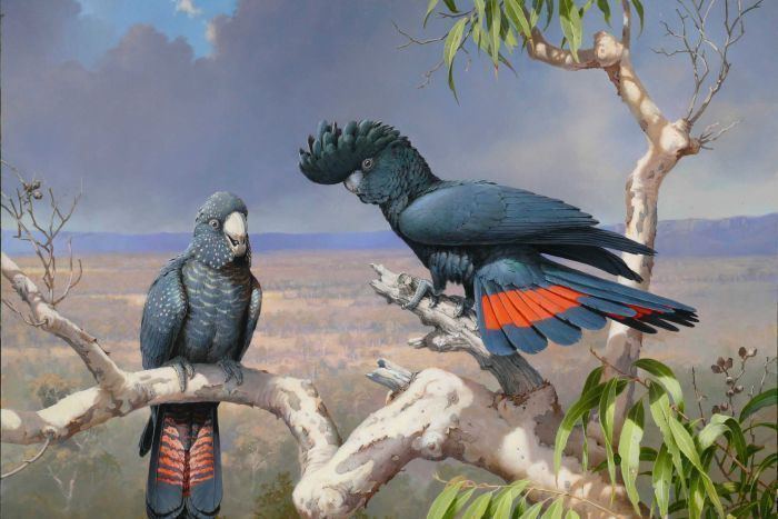 William T. Cooper Australian nature artist and bird illustrator William T