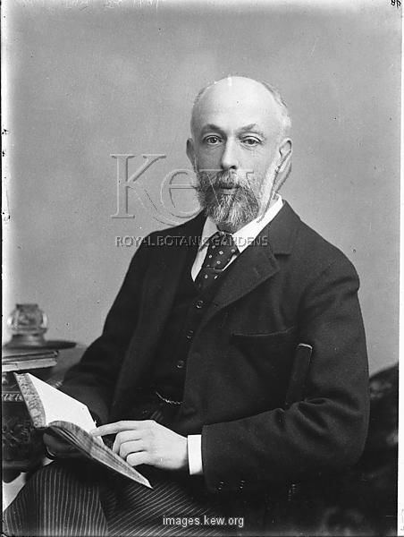 William Turner Thiselton-Dyer Portrait of Sir William Turner ThiseltonDyer 18431928 Director