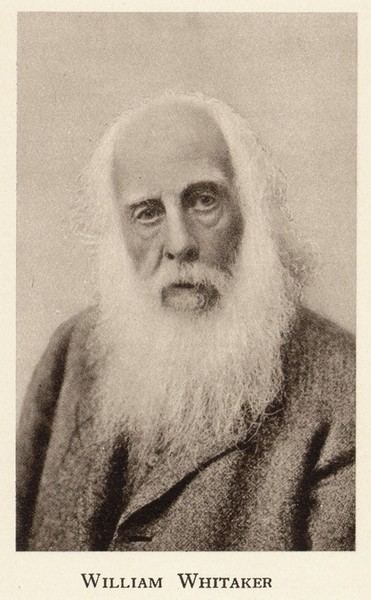 William Whitaker (geologist) William Whitaker Pioneers of the British Geological Survey