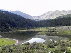 Williams Lake (New Mexico) httpsuploadwikimediaorgwikipediacommonsthu