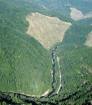 Williams River (Oregon) httpsuploadwikimediaorgwikipediacommonsthu