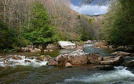 Williams River (West Virginia) httpsuploadwikimediaorgwikipediacommonsthu